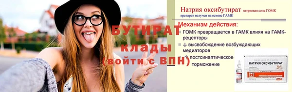 индика Баксан