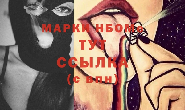 индика Баксан