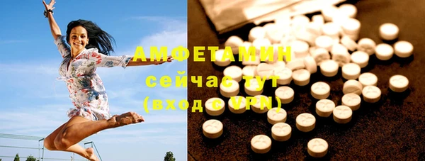 индика Баксан