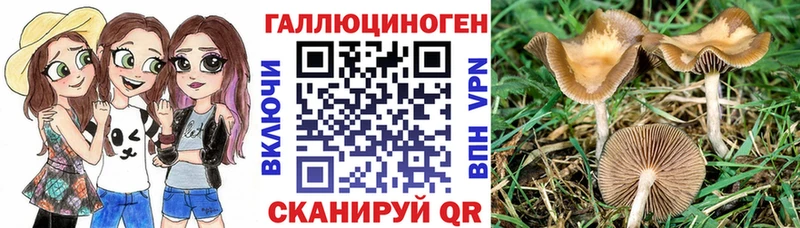 Псилоцибиновые грибы Magic Shrooms Купить Алдан